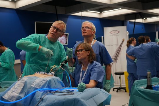 Surgical team during endoscopic valve course