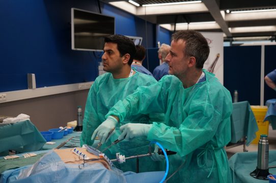 Minimally invasive surgery demonstration