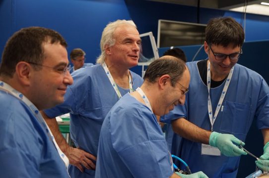 Cadaveric training for mitral valve repair